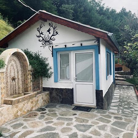 Cozy Home In Ardino Εξωτερικό φωτογραφία
